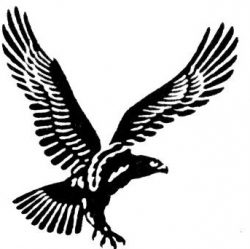 Falcon Yacht Club logo